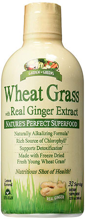 Garden Greens Wheatgrass Shot