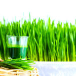 Wheatgrass Shot In A Basket