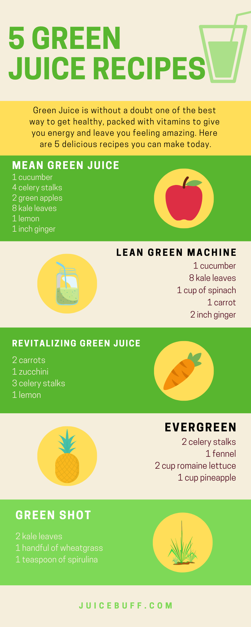 5 Easy and delicious green juice recipes that you can try today. Just wash all the ingredients, remove cores and roots, and you're ready to make some green juice!