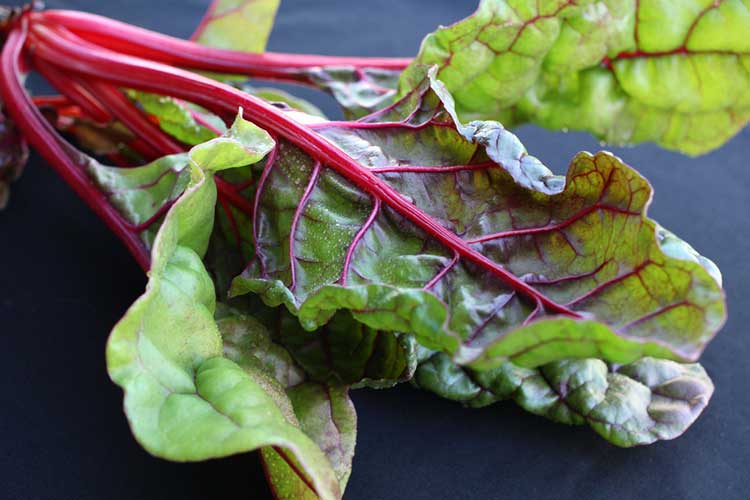 Raw Swiss Chard