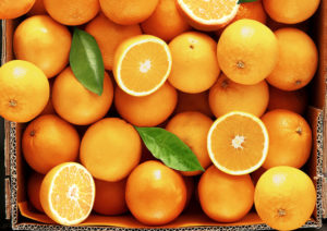 Oranges For Juicing