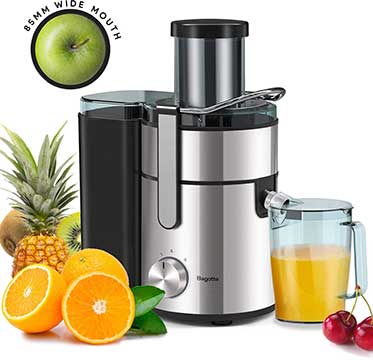 Bagotte 1000W Juicer Machine