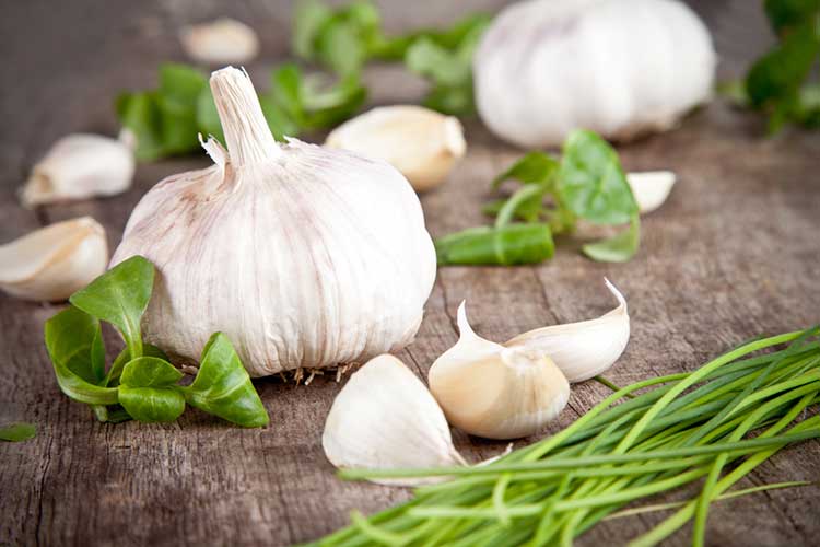 Can You Juice Garlic?