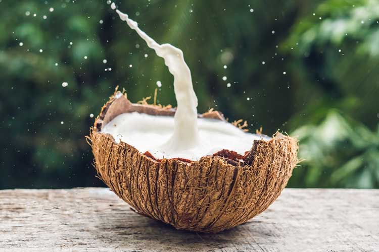   coconut milk in a coconut